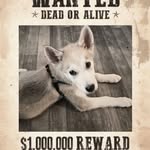 James Mize - @shadowviking06 - Instagram