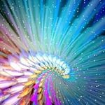 James Mize - @jdmize4353 - Instagram