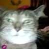 James Mize - @jmize171 - TikTok