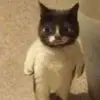 james mode - @jamesmode50 - TikTok