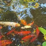 James Mong - @james.mong.351 - Instagram