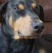 James Mongold - Facebook