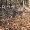jamesmontague63 - @james.montague8 - TikTok