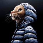 Joshua James Montag - @joshmontag - Instagram