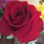 James Moorehead - @grandmamoorehead - Instagram
