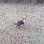 Randy James Morefield - @randyjamesmorefield - Instagram