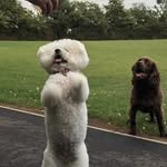 James Morman - @morman201 - Instagram