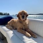 James Morong - @jettsetjames - Instagram