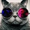 jamesmorozov - @jamesmorozov - TikTok