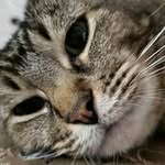 James Clayton Morphis - @morphis_james - Instagram