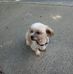 James Morrow - Facebook