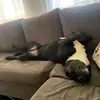 James Moyle - @james.moyle - TikTok
