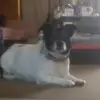James Moyle - @james.moyle5 - TikTok