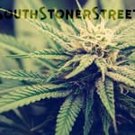 james muck - @southstonerstreet - Instagram
