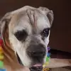 James mull - @james.mull8 - TikTok