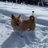 James.mull - @james.mull - TikTok
