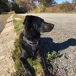 James Munson - @james.munson.752 - Instagram