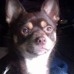 Jesse James Murdaugh - @murdaughjessejames - Instagram