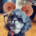 James Murphree - @james.murphree.iv - Instagram