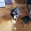 James Murphree - @jamesmurphree - TikTok