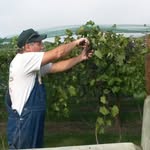 James Musil - @jmusilwines - Instagram