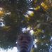 James Musili - Facebook