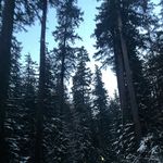 James mutter - @jamesmutter_ - Instagram
