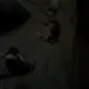 James Natividad - @james.natividad8 - TikTok