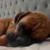 James Navas - @james.navas64 - TikTok
