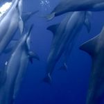 James Navin - @jamesnavin.hostelgmail.com_ - Instagram