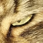 James Neave - @jamesneave - Instagram