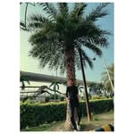 James Neider - @neider_james - Instagram