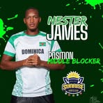 Nester James - Facebook