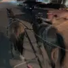 James_nemec2 - @james_nemec - TikTok