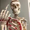 james Neri - @james.neri60 - TikTok
