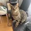 James - @james.in.netherlands - TikTok