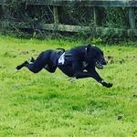 James Newport - @james_newport - Instagram