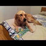 @jamesneylon - Instagram