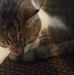 Thomas James Nidiffer - Facebook