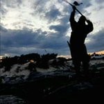 James Nieberg - @jamesnieberg - Instagram