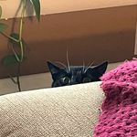 James Nienstedt - @james_nienstedt - Instagram