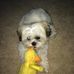 Jim Nietfeld - Facebook