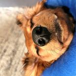 James Nimon - @jimnimon - Instagram