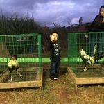 James Nipp - @greyboy808 - Instagram
