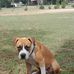 James Noah - Facebook