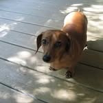 James Nottage - @jamesnottage - Instagram