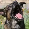 Jim Nyquist - @jim.nyquist - TikTok