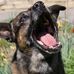 Jim Nyquist - Facebook