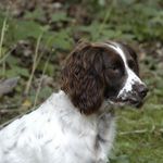 James Oakey - @oakey_james - Instagram