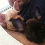 James Oberlander - @jamesoberlander - Instagram